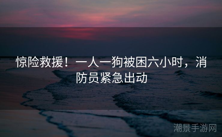 惊险救援！一人一狗被困六小时，消防员紧急出动