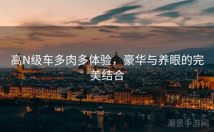 高N级车多肉多体验，豪华与养眼的完美结合