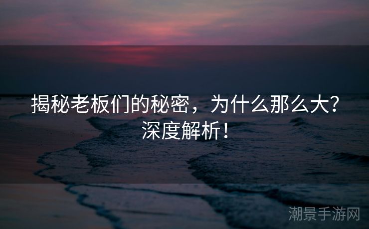 揭秘老板们的秘密，为什么那么大？深度解析！