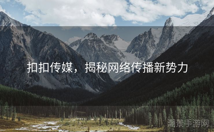 扣扣传媒，揭秘网络传播新势力