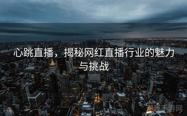 心跳直播，揭秘网红直播行业的魅力与挑战
