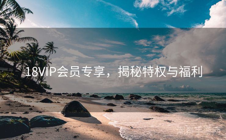 18VIP会员专享，揭秘特权与福利