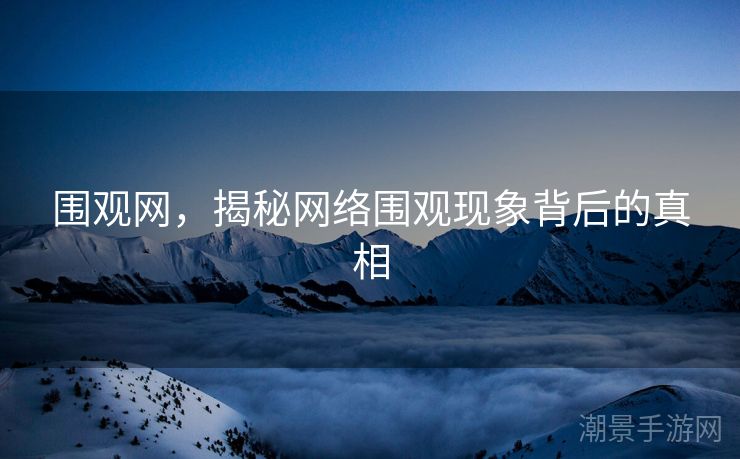围观网，揭秘网络围观现象背后的真相