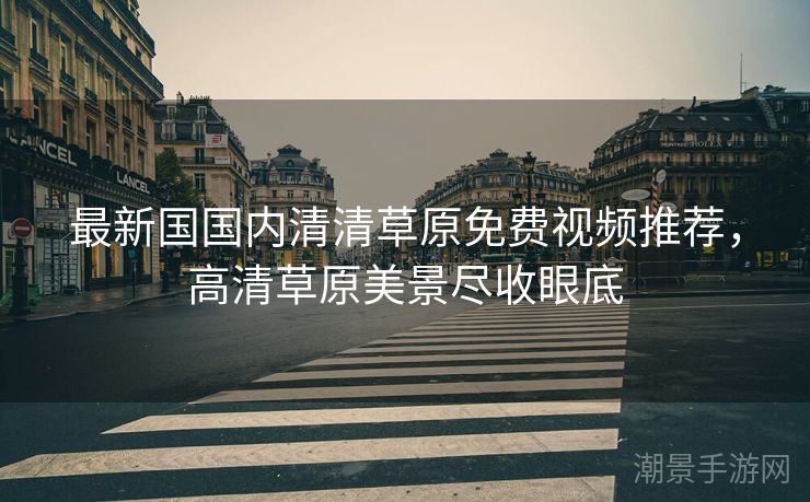 最新国国内清清草原免费视频推荐，高清草原美景尽收眼底