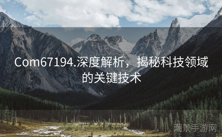 Com67194.深度解析，揭秘科技领域的关键技术
