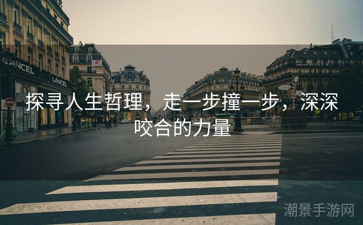 探寻人生哲理，走一步撞一步，深深咬合的力量