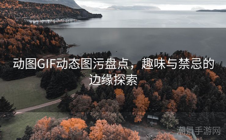 动图GIF动态图污盘点，趣味与禁忌的边缘探索