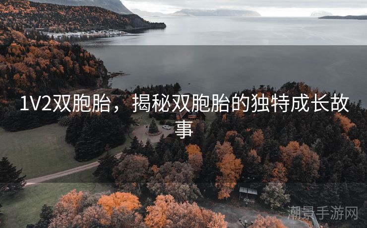 1V2双胞胎，揭秘双胞胎的独特成长故事