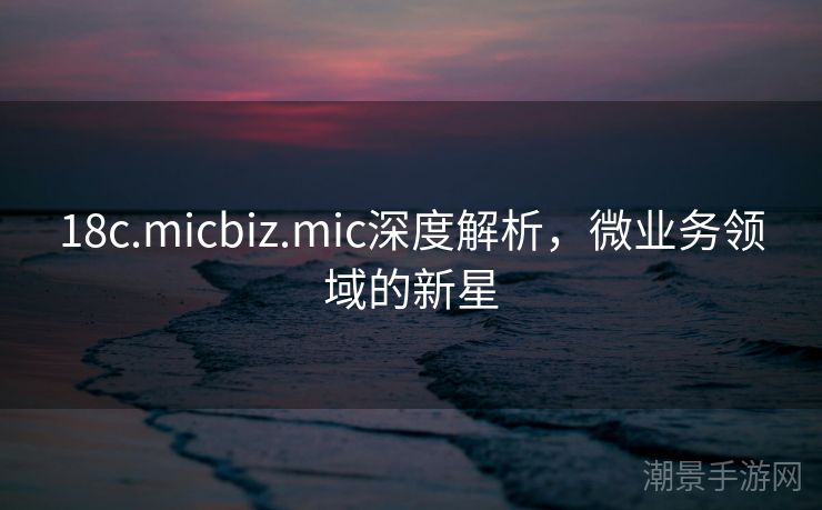 18c.micbiz.mic深度解析，微业务领域的新星