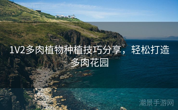 1V2多肉植物种植技巧分享，轻松打造多肉花园