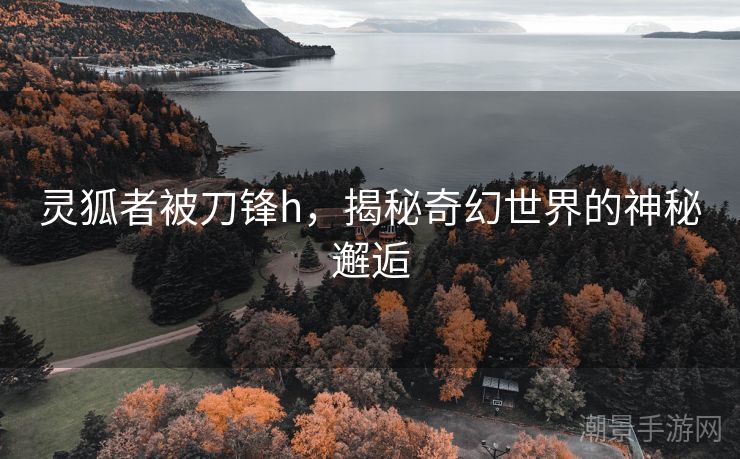 灵狐者被刀锋h，揭秘奇幻世界的神秘邂逅
