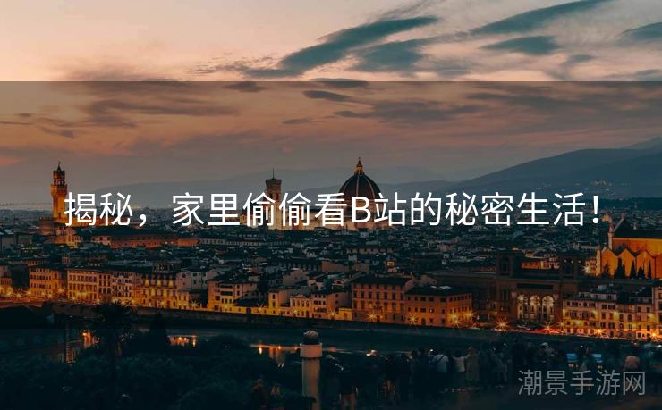 揭秘，家里偷偷看B站的秘密生活！