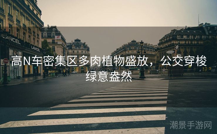 高N车密集区多肉植物盛放，公交穿梭绿意盎然