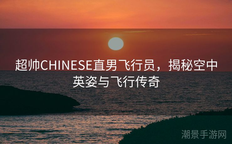 超帅CHINESE直男飞行员，揭秘空中英姿与飞行传奇