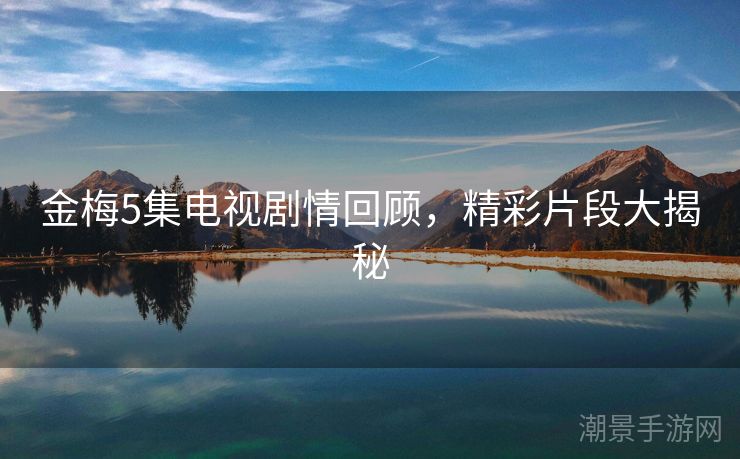 金梅5集电视剧情回顾，精彩片段大揭秘