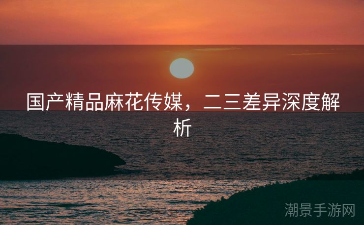 国产精品麻花传媒，二三差异深度解析