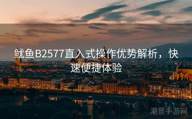鱿鱼B2577直入式操作优势解析，快速便捷体验