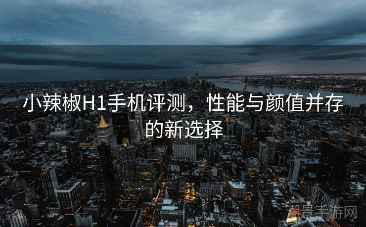 小辣椒H1手机评测，性能与颜值并存的新选择