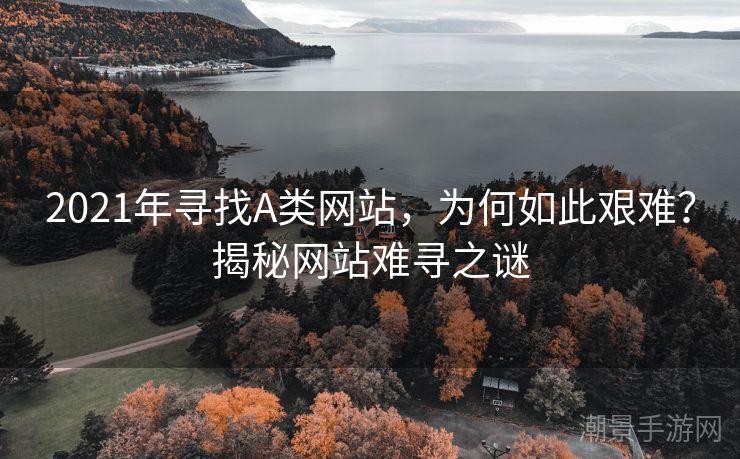2021年寻找A类网站，为何如此艰难？揭秘网站难寻之谜