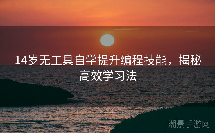 14岁无工具自学提升编程技能，揭秘高效学习法