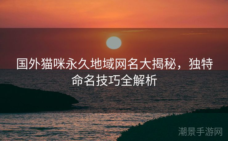 国外猫咪永久地域网名大揭秘，独特命名技巧全解析