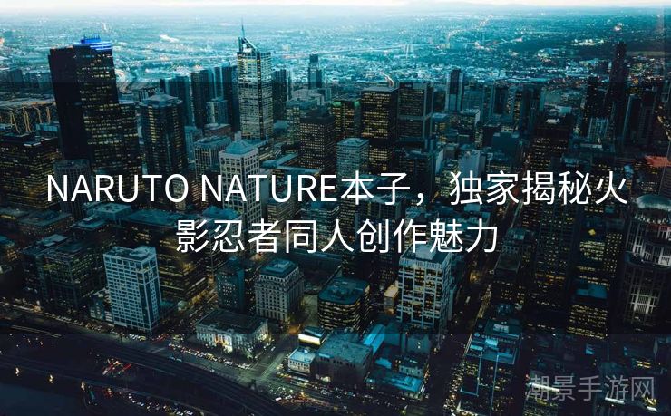 NARUTO NATURE本子，独家揭秘火影忍者同人创作魅力