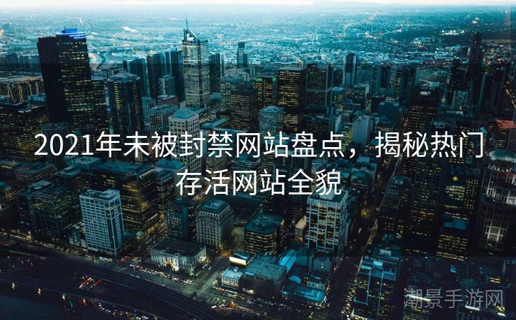 2021年未被封禁网站盘点，揭秘热门存活网站全貌