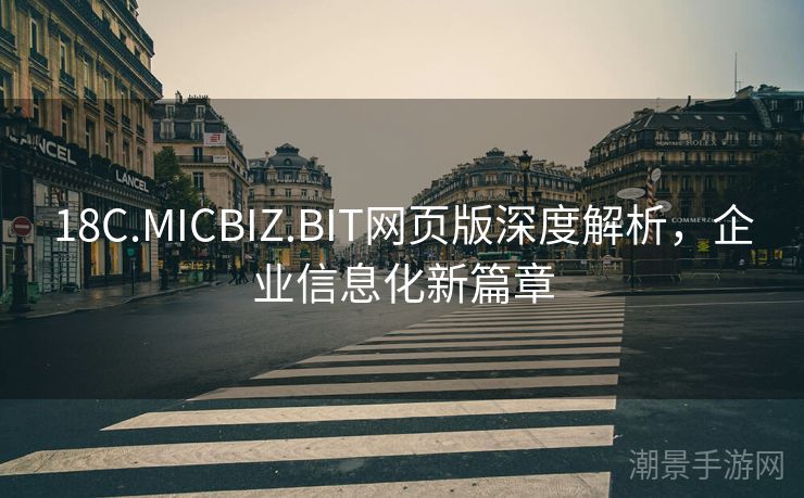 18C.MICBIZ.BIT网页版深度解析，企业信息化新篇章