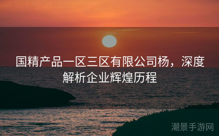 国精产品一区三区有限公司杨，深度解析企业辉煌历程
