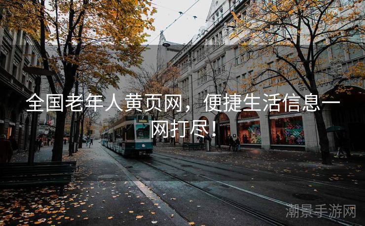 全国老年人黄页网，便捷生活信息一网打尽！