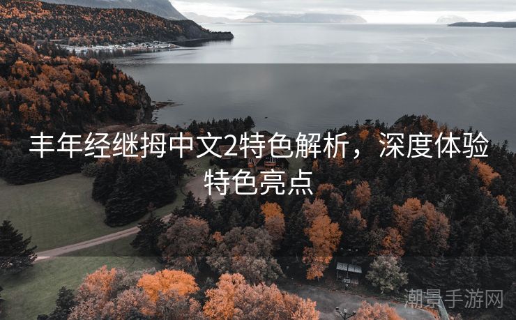 丰年经继拇中文2特色解析，深度体验特色亮点