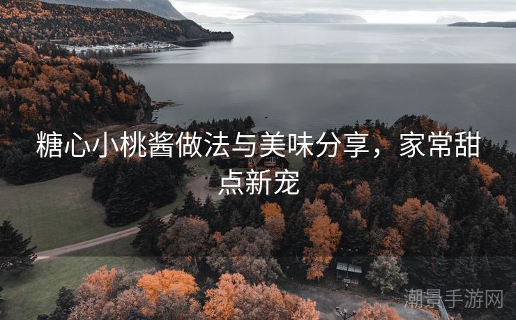 糖心小桃酱做法与美味分享，家常甜点新宠