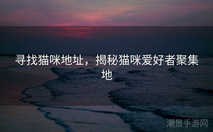 寻找猫咪地址，揭秘猫咪爱好者聚集地