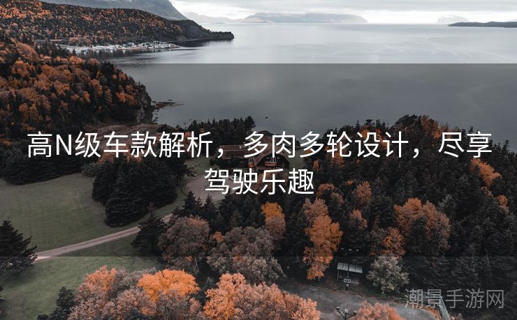 高N级车款解析，多肉多轮设计，尽享驾驶乐趣