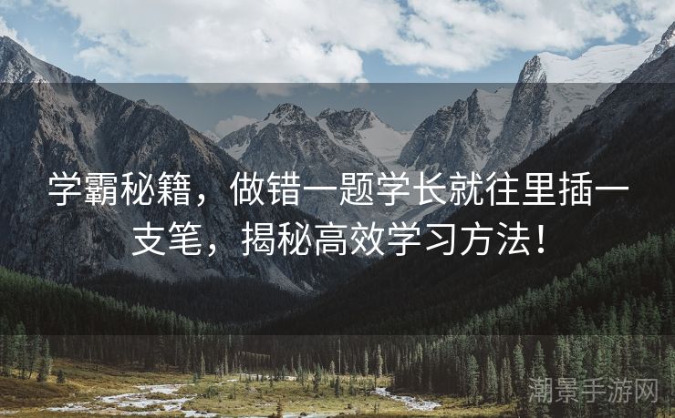 学霸秘籍，做错一题学长就往里插一支笔，揭秘高效学习方法！