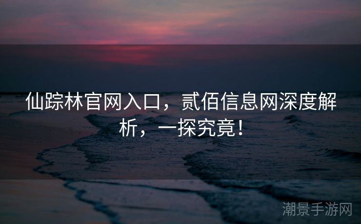 仙踪林官网入口，贰佰信息网深度解析，一探究竟！