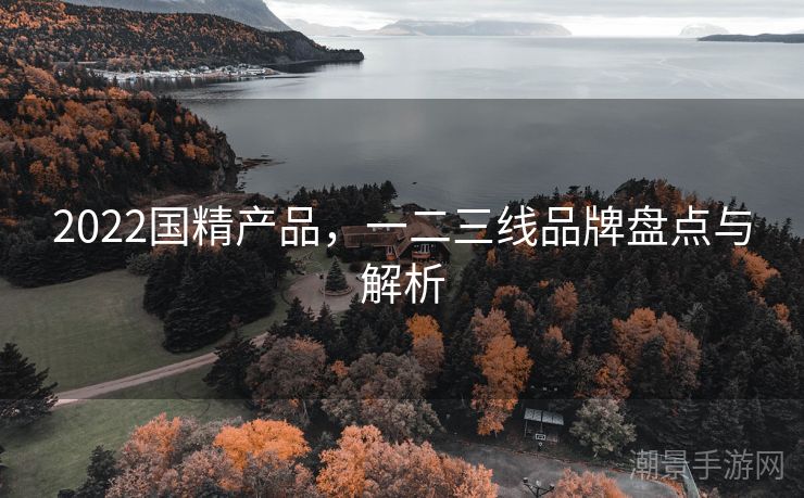 2022国精产品，一二三线品牌盘点与解析