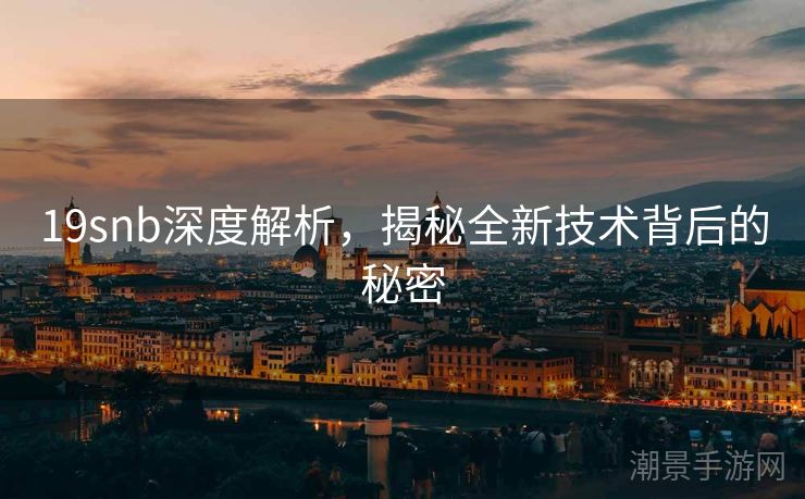 19snb深度解析，揭秘全新技术背后的秘密