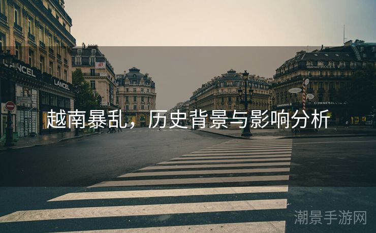 越南暴乱，历史背景与影响分析