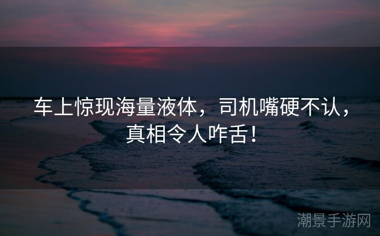 车上惊现海量液体，司机嘴硬不认，真相令人咋舌！