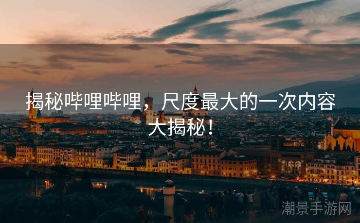 揭秘哔哩哔哩，尺度最大的一次内容大揭秘！