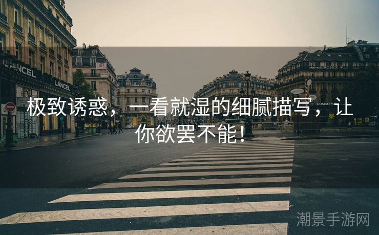 极致诱惑，一看就湿的细腻描写，让你欲罢不能！