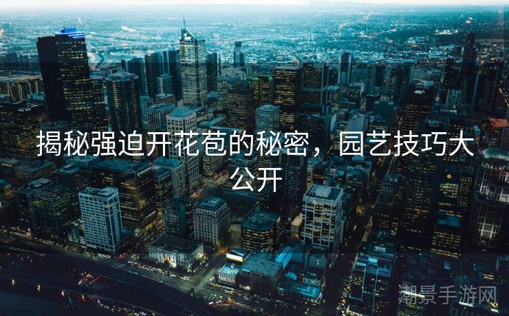 揭秘强迫开花苞的秘密，园艺技巧大公开