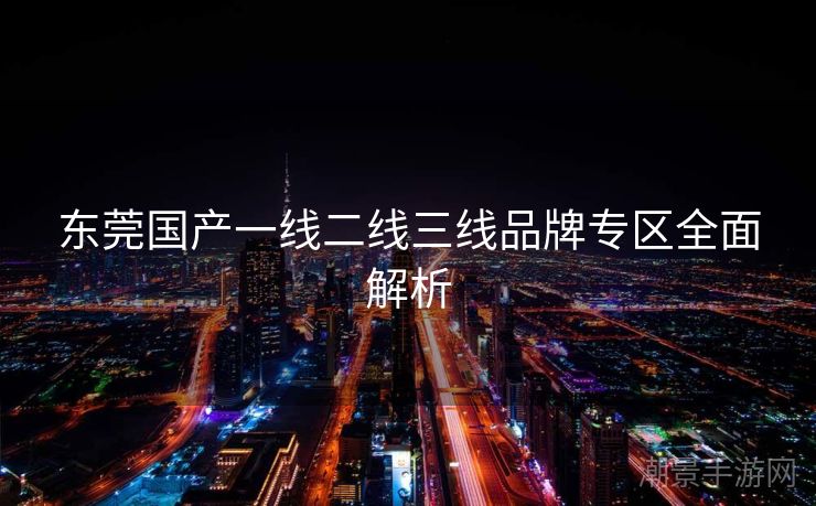 东莞国产一线二线三线品牌专区全面解析