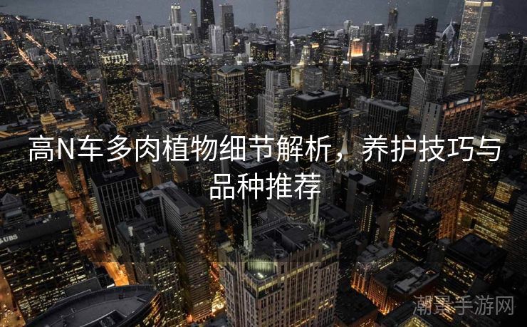 高N车多肉植物细节解析，养护技巧与品种推荐