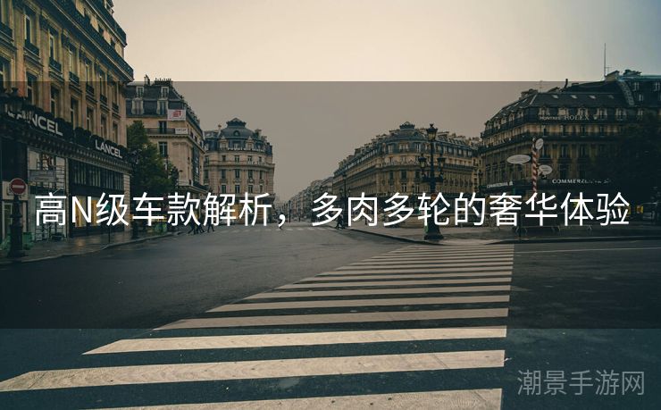 高N级车款解析，多肉多轮的奢华体验