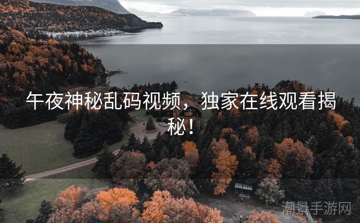 午夜神秘乱码视频，独家在线观看揭秘！