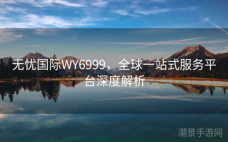 无忧国际WY6999，全球一站式服务平台深度解析