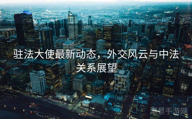 驻法大使最新动态，外交风云与中法关系展望