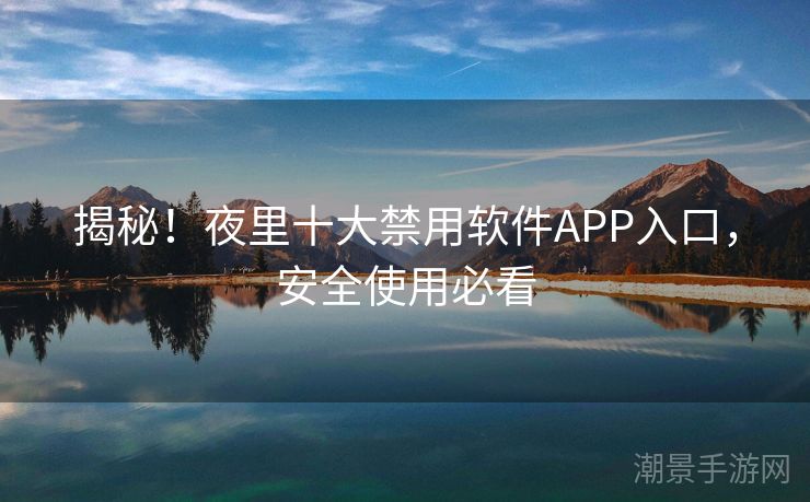 揭秘！夜里十大禁用软件APP入口，安全使用必看